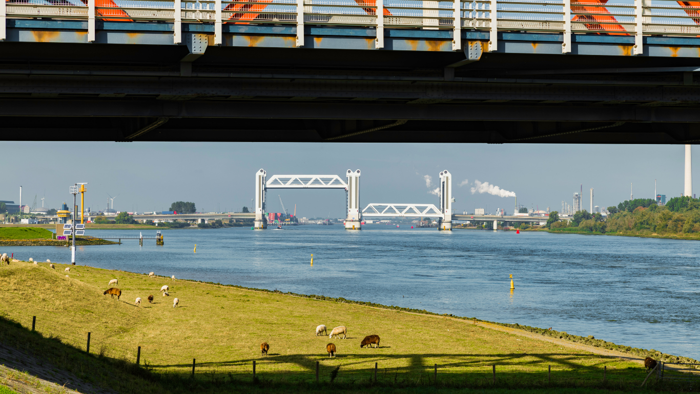 hoogvliet uitvaart - afscheid hoogvliet - rotterdam uitvaart - rememberme - uitvaart regelen in hoogvliet